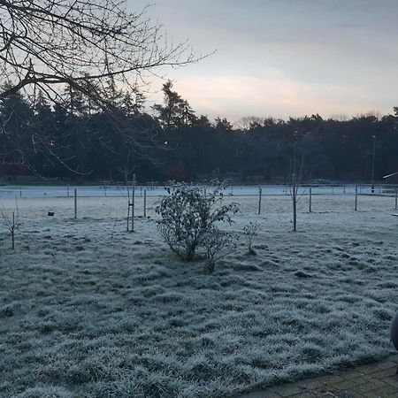 Natuurslaapkamer De Zaadeest Boskamer Lomm Экстерьер фото