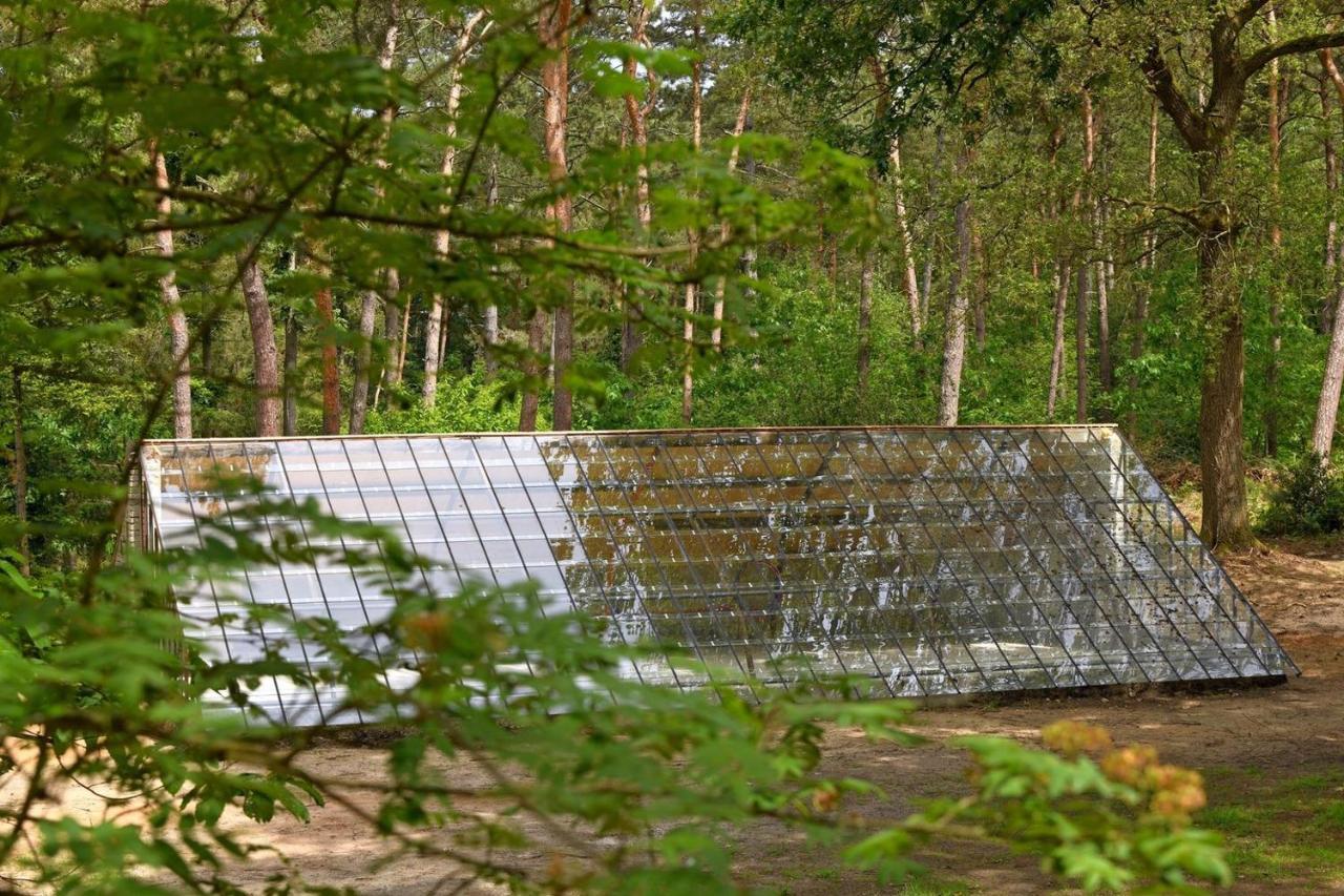 Natuurslaapkamer De Zaadeest Boskamer Lomm Экстерьер фото